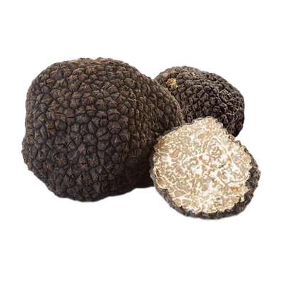 TARTUFO-NERO-ESTIVO-FRESCO