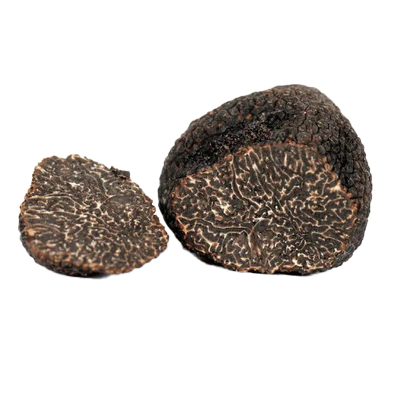 TARTUFO-NERO-PREGIATO-FRESCO-TRASP
